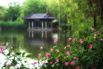 【“疫”后花開 邁向詩和遠方】天下第一泉景區：泉湖河城匯大美