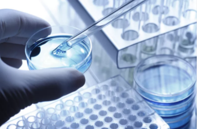 輝瑞公布抗擊COVID-19五項承諾 呼吁生物制藥行業合作共抗疫情