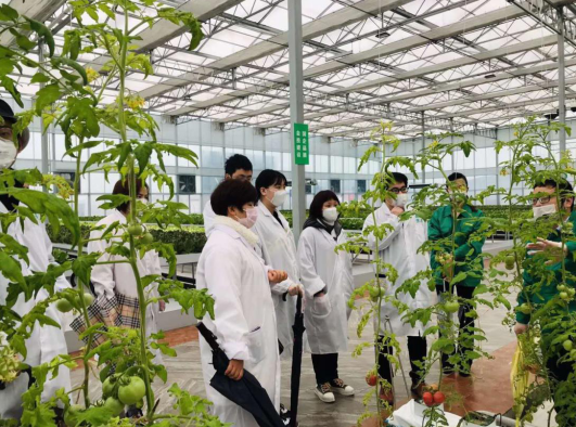 中信銀行：“有溫度的”綜合金融服務 助力農資企業復產復工
