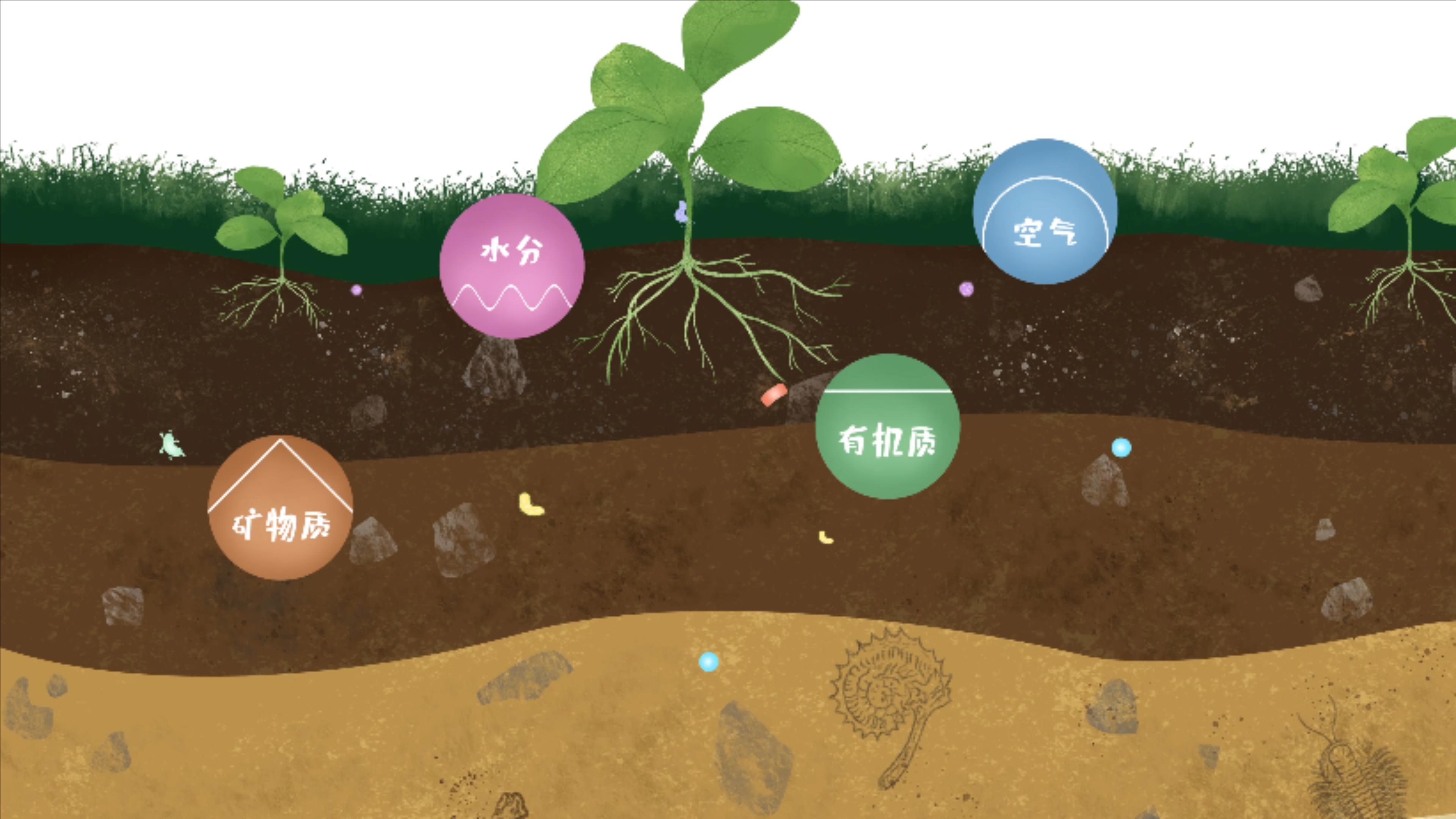 土壤由礦物質(zhì)、有機(jī)質(zhì)、水分、空氣及包括微生物在內(nèi)的生物體等組成